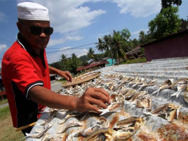 Rahmat Kepada Pengusaha Ikan Kering