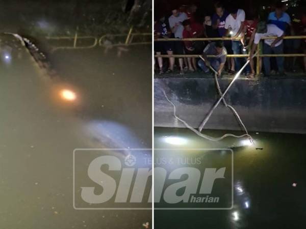 Seekor buaya dipercayai sepanjang 10 kaki ditemui sesat di longkang besar Kampung Jawa di sini, kira kira jam 8.30 malam tadi. 