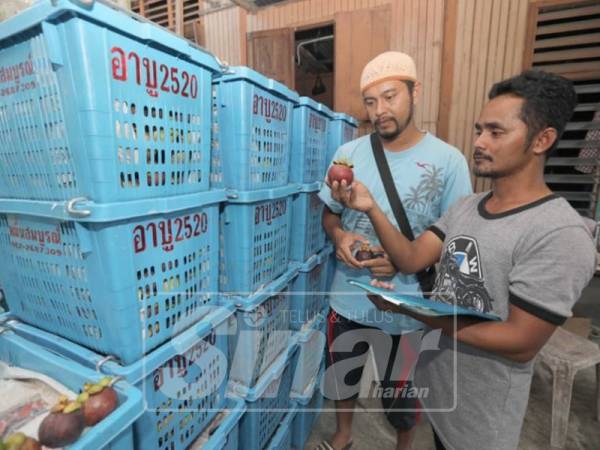 Ahmad menunjukkan manggis kepada Jeffri.