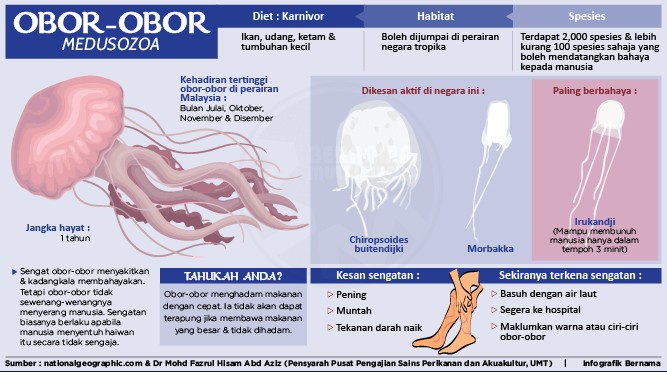 OBOR2