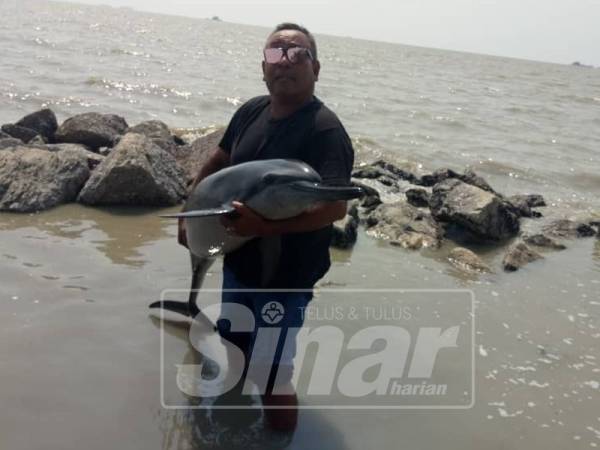 Hussin sempat bergambar dengan ikan lumba-lumba yang diselamatkan sebelum dilepaskan ke laut.