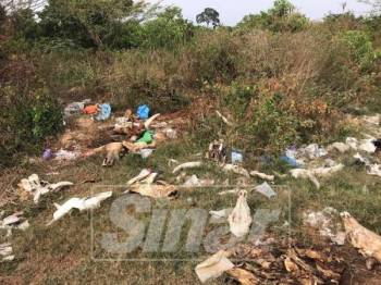 Selepas Sehari Tular Sampah Dibersihkan