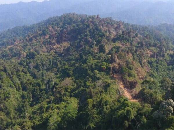 Kawasan hutan di Gunung Korbu berjaya dipadamkan sepenuhnya, hari ini.