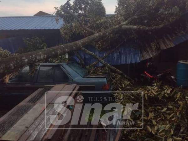 Kesan ribut yang telah melanda beberapa buah kampung.