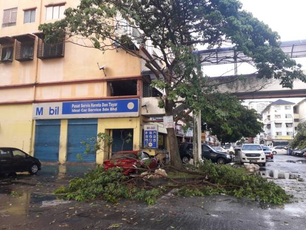 Sebuah kereta musnah selepas dihempap pokok dalam kejadian di Bandar Putra Permai