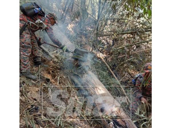 Pokok balak setinggi 20 meter ini tumbang hampir mengenai anggota bomba yang melakukan kerja-kerja pemadaman.