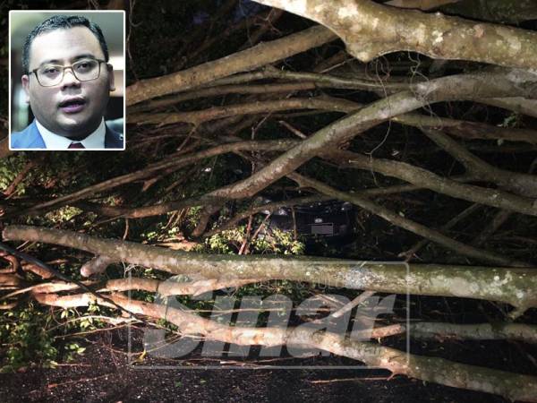 Laporkan segera kepada pihak MBSA di talian ​1800​884477 sekiranya ada kejadian pokok tumbang di kawasan anda