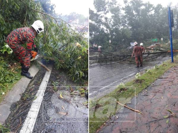 Ribut di shah alam