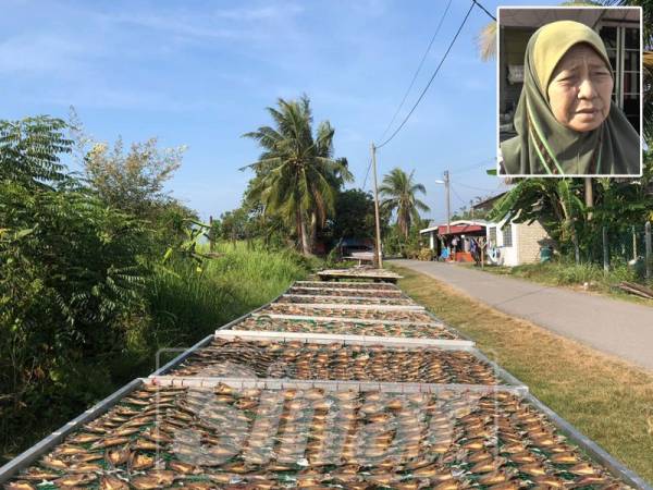 Ikan kering dijemur di tempat jemuran khas bagi memastikan kebersihannya. Gambar kecil: Siti Zawiyah