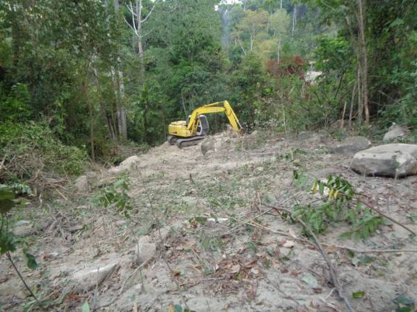 Sebuah jengkaut dirampas di kawasan hutan simpan itu.