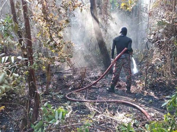 Operasi pemadaman kebakaran terbuka sekitar Pulau Serai, peramu, PIC ehsan bomba