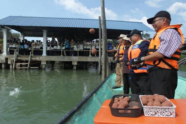 Rosli (kanan) dan Azlimi melontar mudball ke dalam Sungai Balok.