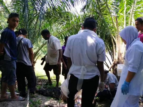 Mayat mangsa yang berada di tepi lombong berhampiran kebun tersebut. (FOTO PEMBACA)
