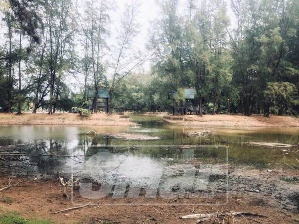 
Pelbagai spesies ikan yang ditemui mati di dalam tasik terbabit.