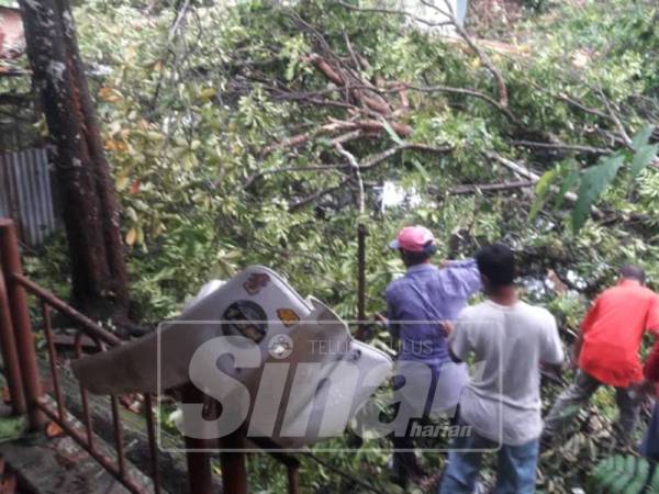 Pokok tumbang menghempap rumah penghuni Pondok Penyayang Raudah dalam kejadian ribut, kelmarin.