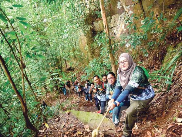 Pendakian mencabar tidak menghalang peserta ekspedisi mencari spesis kelulut di Gunung Pulai. 