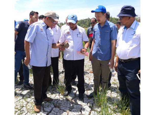 Mazlan dan Nik Mohd Shaharil melihat pokok padi yang rosak akibat cuaca kering dan panas yang berpanjangan.