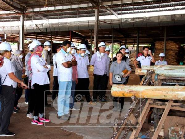 Dr Xavier Jayakumar melihat mesin memproses kayu pokok Eucalyptus untuk dijadikan papan lapis ketika mengadakan lawatan kerja ke ladang Eucalyplus di Lenggong hari ini. - Foto Bernama