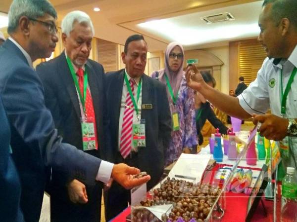 Abdul Aziz (dua,kiri) dan Muthaya (kiri) melihat biji getah ketika pameran pada majlis perasmian MRB-IRRDB International Workshop on Soil Fertility, Good Agricultural Practices (GAP) and
Productivity di Hotel Mahkota, Banda Hilir, di sini hari ini.