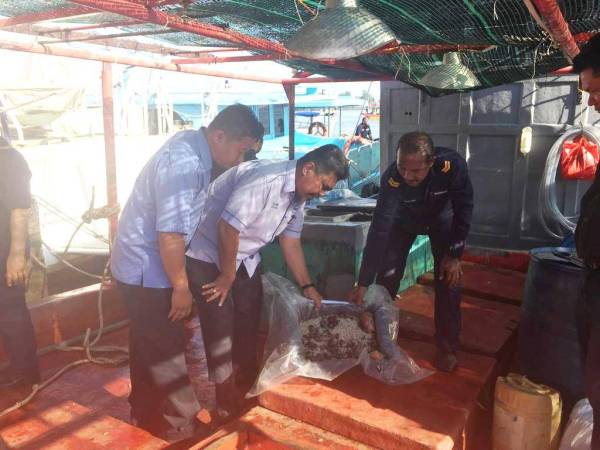 Zawawi (tengah) menunjukkan gamat yang dirampas berikutan penahanan dua bot Vietnam di Pulau Tenggol.