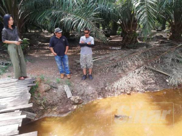 Lay Peng (kiri) ketika melakukan tinjauan mendapati warna sungai telah menjadi hitam dan tiada lagi ikan hidup dalam sungai, di Kampung Jenjarom.