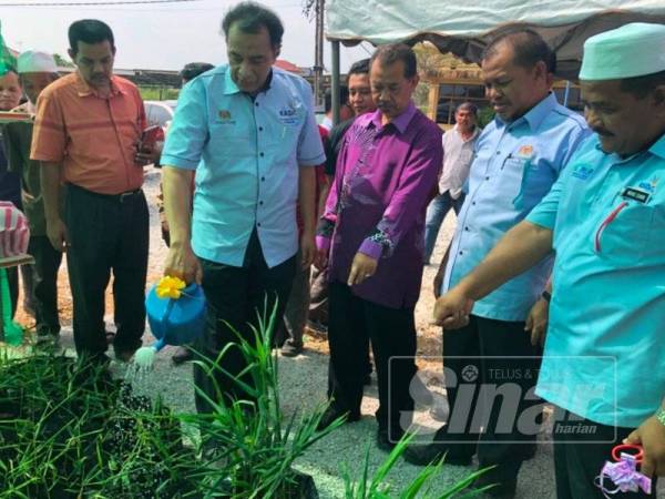 Husam menyiram anak pokok halia bara di PPK Tanjung Puri, hari ini.