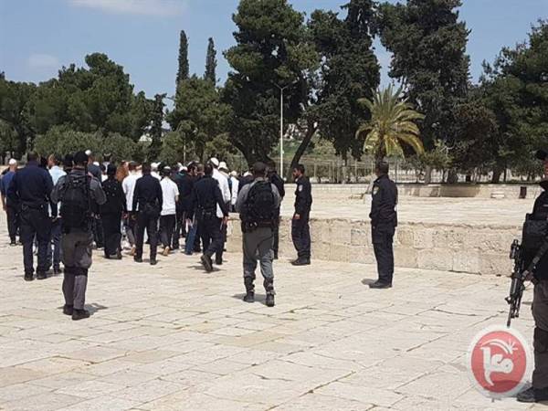 Pendatang Yahudi diiringi polis Israel yang lengkap bersenjata menceroboh kawasan perkarangan kompleks Masjid al-Aqsa, semalam.