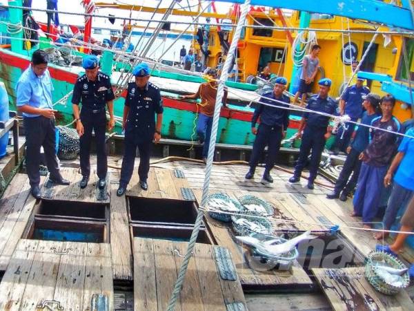 Rosman (tengah) dan Muhamad Yusof (kiri) memeriksa tangkapan ikan dalam salah sebuah bot pukat tunda kelas C di Jeti Pasukan Polis Marin, Batu Uban, hari ini.