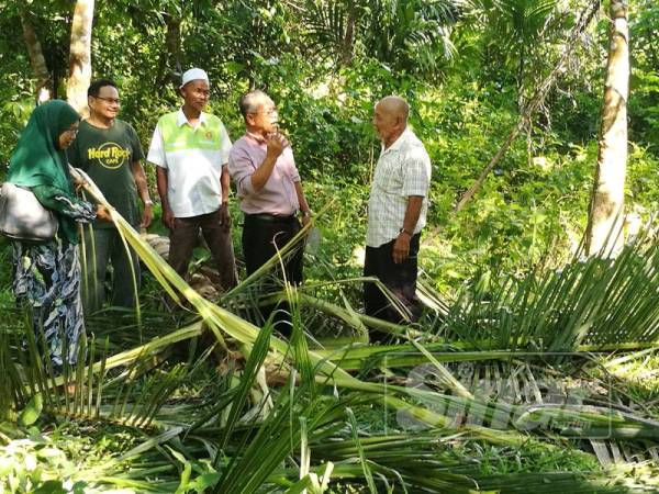 Abdul Nasir (tengah) berbincang bersama Abd Rahman kanan di lokasi serangan gajah.