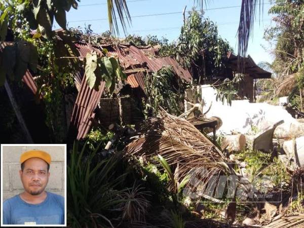 Kediaman Juraidi dan abangnya yang rosak teruk akibat dihempap pokok macang dalam kejadian ribut semalam. (Gambar kecil: Mohamad Juraidi Abdul Ghani)