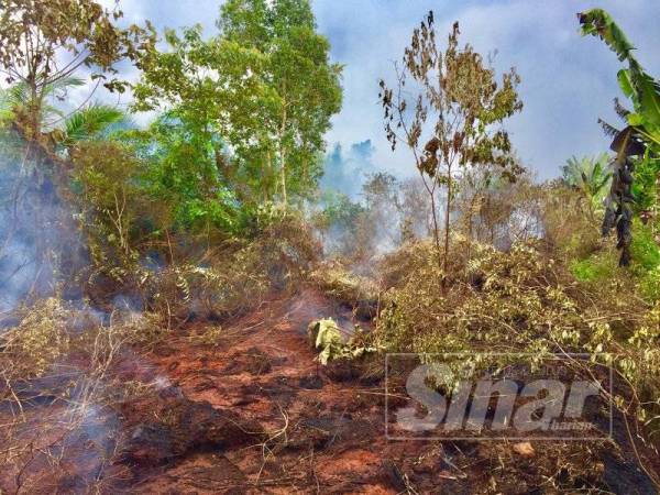 Kebakaran kebun di Paya Kopi, Jalan Kangkar Senangar Pagoh kini berlaku lagi kelmarin. 