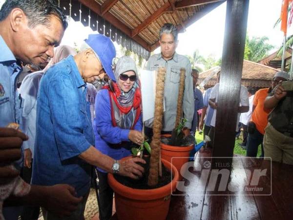 Daim (dua dari kiri) bersama Mazlan (kiri) memerhatikan pokok vanila sempena lawatan kerja di Felda Lurah Bilut, kelmarin.