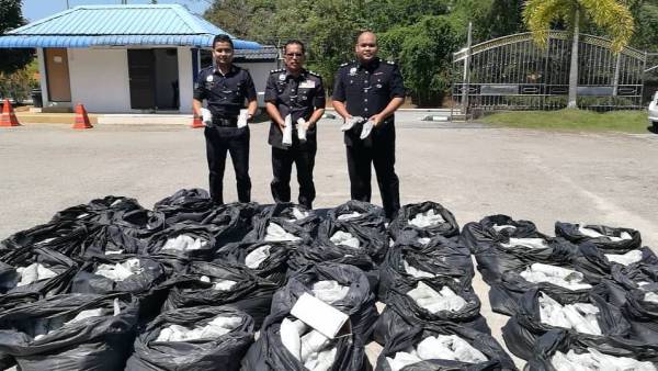 Nik Ahmad Kamil (tengah) bersama anggota menunjukkan daun-daun ketum yang berjaya dirampas pihaknya Ahad lalu.