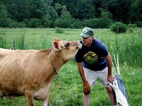 Cabaran cium lembu diperkenalkan sebuah aplikasi di Switzerland itu bertujuan untuk mengumpulkan wang bagi tujuan kebajikan.
