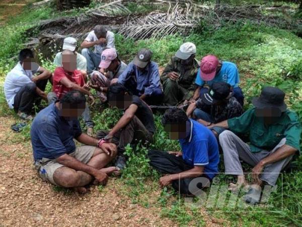 Seramai 21 lelaki termasuk warga emas berusia 63 tahun ditahan dalam serbuan di ladang kelapa sawit di Felda Gedangsa.