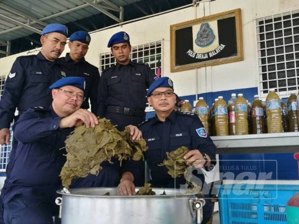 Azmi (kiri) bersama Nik Ali menunjukkan daun ketum yang dirampas dalam operasi semalam.