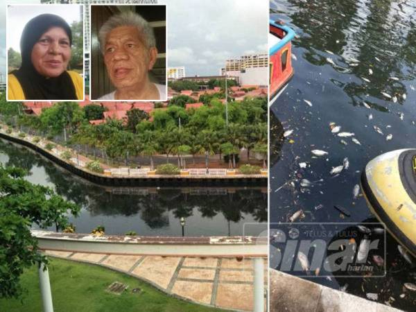 Pemandangan Sungai Melaka. Gambar kanan: Ribuan bangkai ikan yang ditemui terapung di Sungai Melaka. Gambar kecil: Rafiah dan Abu Bakar