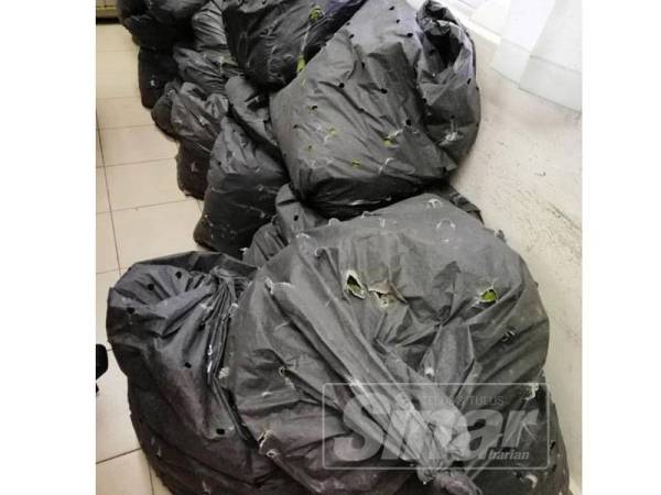 Sejumlah 23 beg plastik hitam berisi daun ketum seberat 115 kilogram dirampas IPD Perak Tengah semalam.