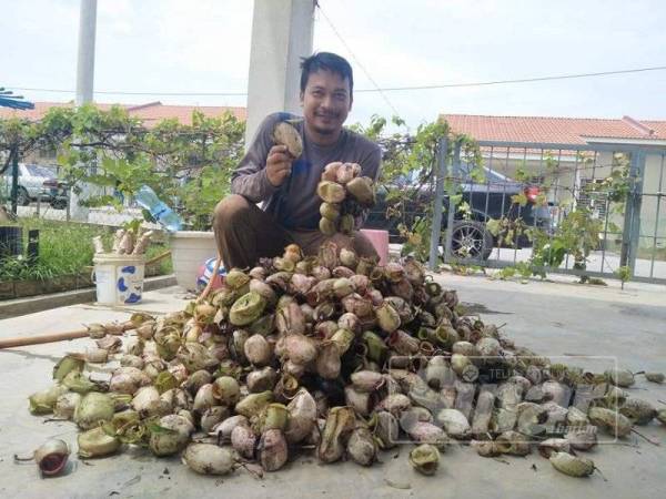 Mohd Shahrinnahar bersama periuk kera yang dikutip di jalan Kuantan-Maran saban tahun.