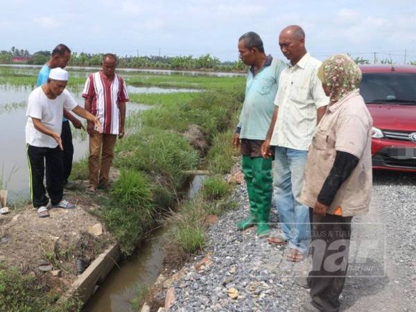 Pesawah menunjukkan pembetung U yang dibina lebih rendah dari bendang yang menyukarkan air mengairi tanaman.