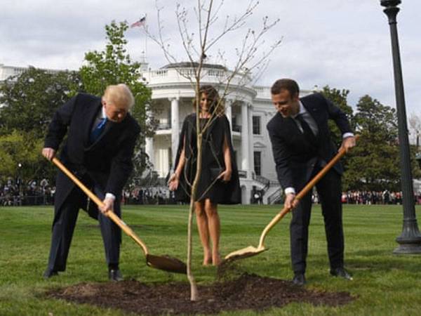 Aksi kedua-dua pemimpin itu menanam pokok oak menarik perhatian lensa jurugambar seluruh dunia pada tahun lalu.