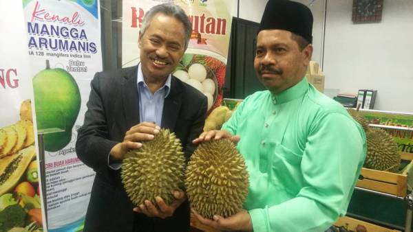 Ahmad (kiri) dan Anuar (kanan) menunjukkan durian dikeluarkan Fama selepas Majlis Sambutan Hari Raya Aidilfitri di Pejabat Fama Kedah, di sini hari ini.