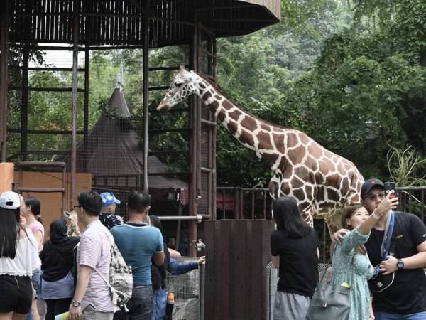 Zoo Negara - Foto Bernama