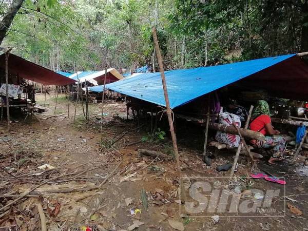 Komuniti orang asli Sungai Berua yang tinggal di penempatan sementara di pinggir hutan simpan di Kampung Gerdong ini akan berpindah ke lokasi baharu hari ini untuk teruskan kegiatan ekonomi mereka.