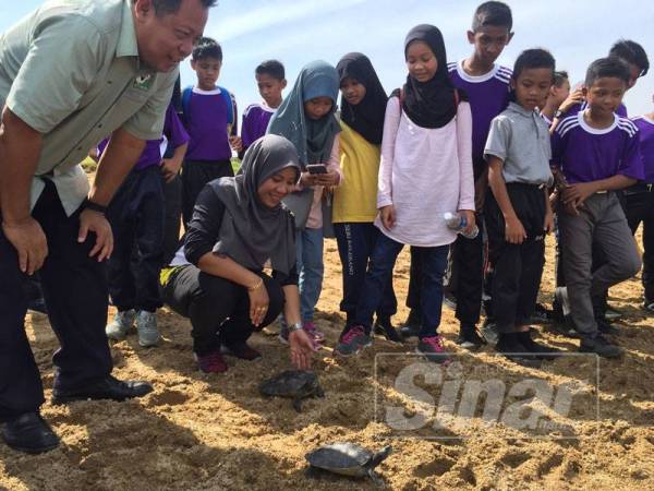 Wan Shaharuddin (kiri) melepaskan tuntung ke Sungai Perak sambil diperhati pelajar-pelajar SK Seri Kelebang di Pusat Konservasi Hidupan Liar (Tuntung) Bota Kanan semalam.