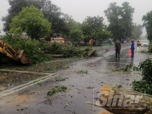 Pokok tumbang akibat ribut di hadapan SMK Kepala Batas semalam.