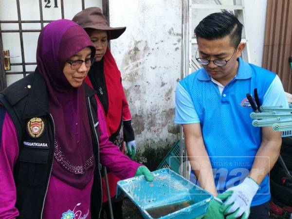 Program Gotong-royong Membasmi Denggi di Taman Sri Sentosa Pekan Nanas, hari ini.