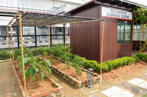 ECO Garden laman hijau Perodua.