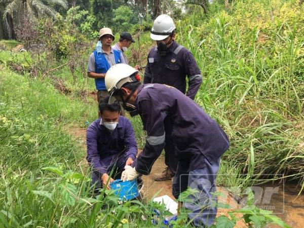 Kerja-kerja pengambilan sampel dari sekitar Kuala Koh diambil lagi hari ini.