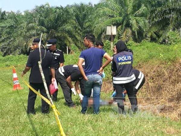 Lelaki ditemui dalam keadaan terlentang dengan kesan dibunuh di Jalan Bukit Selambau-Jeniang.